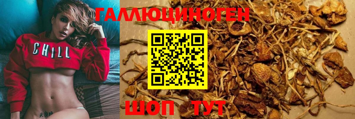 Псилоцибиновые грибы MAGIC MUSHROOMS Петровск