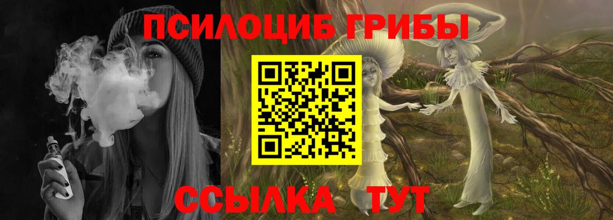 Псилоцибиновые грибы мухоморы  Вход с VPN  Петровск 